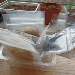 IMG_20251128_13404473bf4417205d4159