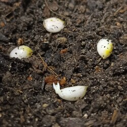 IMG_20251222_125754K08f9e162ca4f8d64