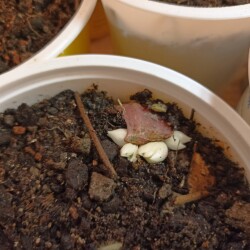 IMG_20260219_10323115aa193fe63a1e47