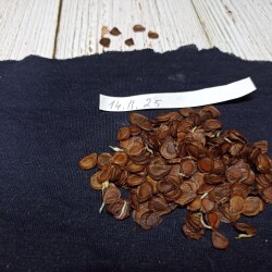 IMG_20260111_161318b9893b0cbb132f8d