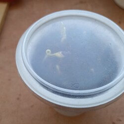 IMG_20260311_121213e4331918b54d727f