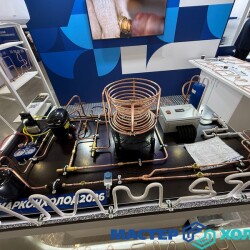 master-holoda-mir-klimata-_1545d31aab3e8c2ef0