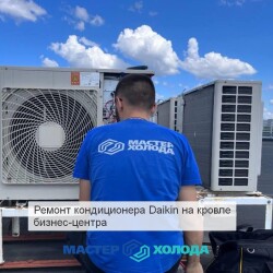 photo_5193053900171762779_yc726f698b781c2d2