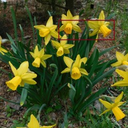 DSCN8251-141e3e59d3233216e