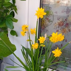 boucle-mar9f5e7bb3251e5983