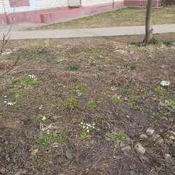 IMG_20260327_113742637b972cf424f4e3