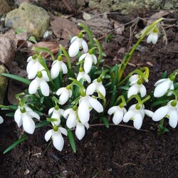 galan-28-ma3ca86d7357865fe