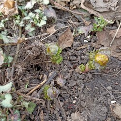 IMG_20260329_1142465c4af6b70677c2e5