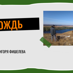 igor-fishelev-dozhdea65daf1687de3de