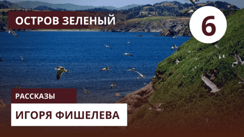igor fishelev ostrov zelenyj 6