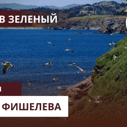 igor-fishelev-ostrov-zelenyj-6307daf0635017ccf
