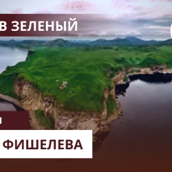 igor-fishelev-ostrov-zelenyj-775d6f3e3a7e781ba