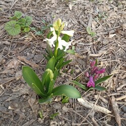 IMG_20260401_071815aa739287bd4f032b