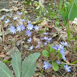 IMG_20260401_12300897d62bae1f6f8f55