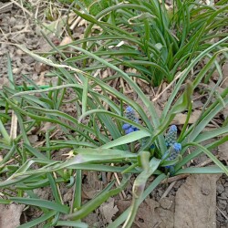 IMG_20260401_123153b9fc7c05fefcbc7d