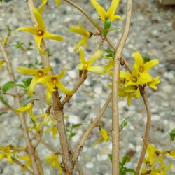 IMG_20260402_092554509ad78e322d1fb8