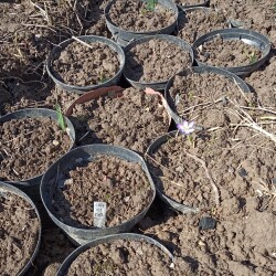 IMG_20260404_115359Ke1562a431201b3f7