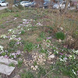 IMG_20260404_163445900c857ee52901fe