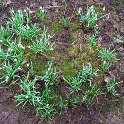 galan-6-aprb3a72e782312cbda