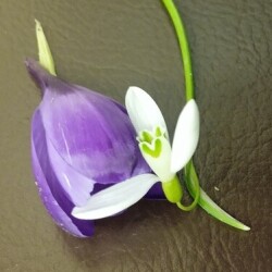 simple-type2448ab559d71aa3c