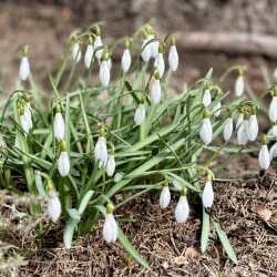 IMG_13834cf2182fce761ec6