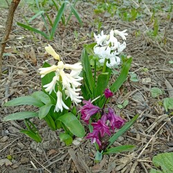 IMG_20260407_092153efc1a291b73c6e9d