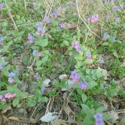 IMG_20250422_17440696ceaaa7b39584f7