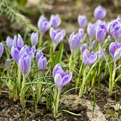 IMG_13968229b6e269452df4