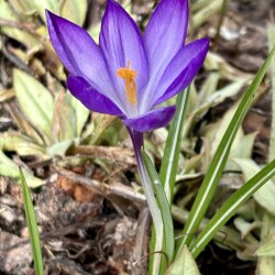 IMG_1397e64c4312d8e978f4