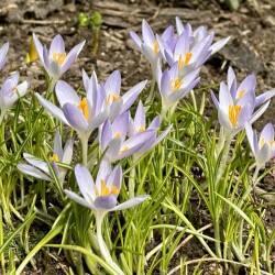 IMG_14069267d7f2a410c84b