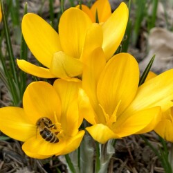 IMG_1414da2793cefebf7a28