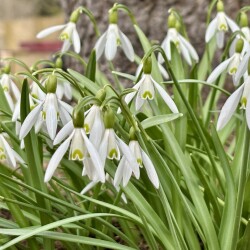 IMG_1417e7374fdc1267f83b