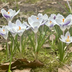 IMG_143755f3183ee1c723e2