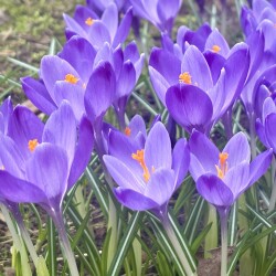 IMG_143813c69f3f33313b19