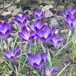 IMG_1439385a58bb0491d843