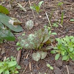 IMG_20260417_0934346580b6a14ff17cce