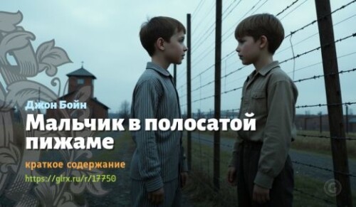 wt_malchik-v-polosatoy-pizhame-dzhona-boyna_177508359030b4ae1f41f82c.jpg