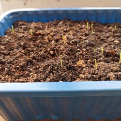 IMG_20260328_170322d229bc6fdd6de487