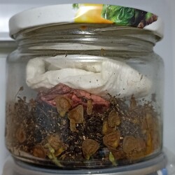 KANADIMG_20260116_123521a5103ed4b18b9570