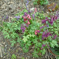 IMG_20260414_11560509dc878e33017212