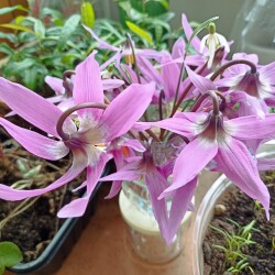 IMG_20260419_1516046c04bbdf8fbbe145