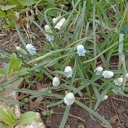 IMG_20260420_1646000b4ec3bd455c56f2