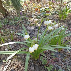 IMG_20260422_132228457dd31cc3b1e39d