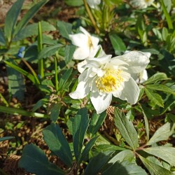 IMG_20260422_15522757dce3d3dab9ffbc