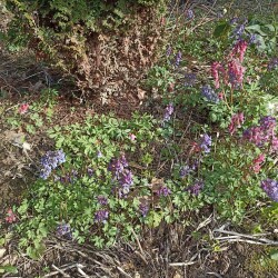 IMG_20260422_1600464575e32ddc4551ab