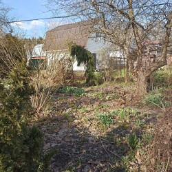 IMG_20260422_16273387ec02c478065406