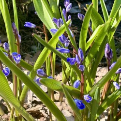 IMG_1474937e45fe48e76053