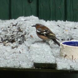 20260427_13121494aa37bcce49d41c