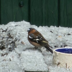 20260427_1312165ba26d459793479e