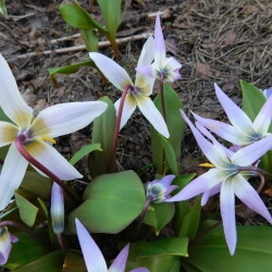 DSCN3116e7bf7e6225979aec